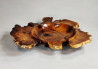 Handcrafted Wooden Bowl Russian Olive Burl Wood